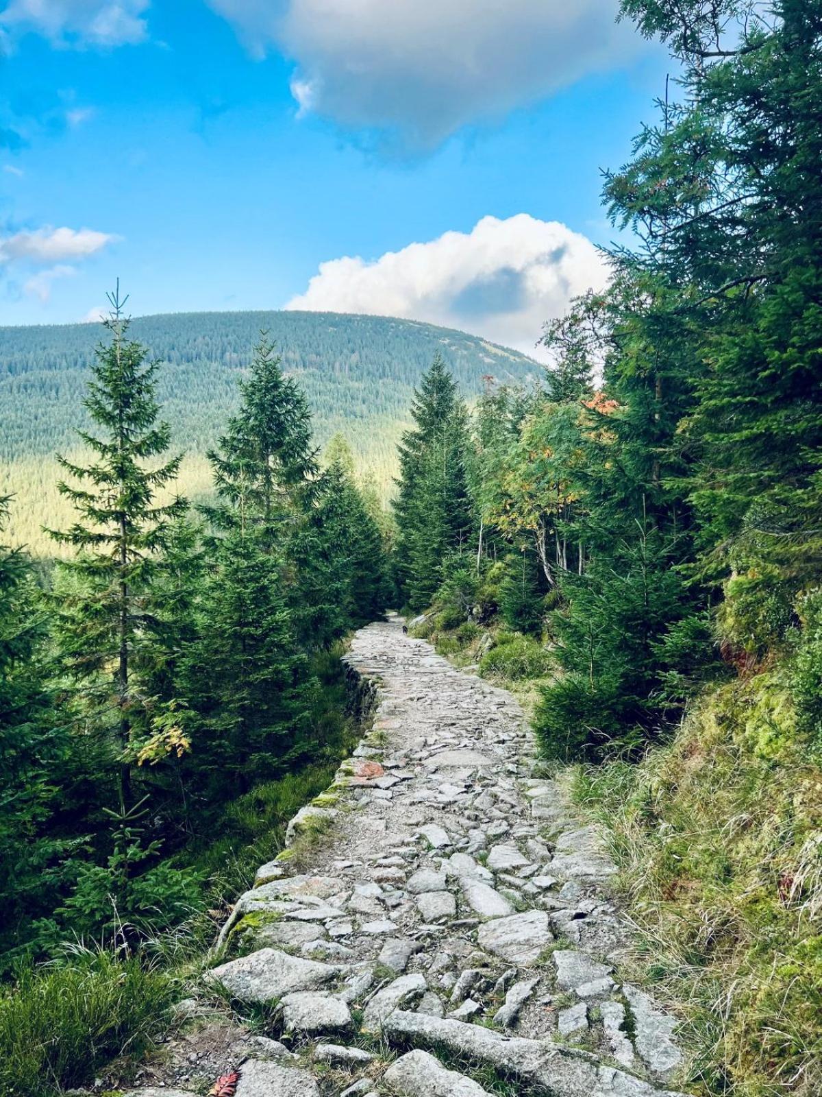 Bouda Bile Labe Hotel Špindlerŭv Mlýn Kültér fotó